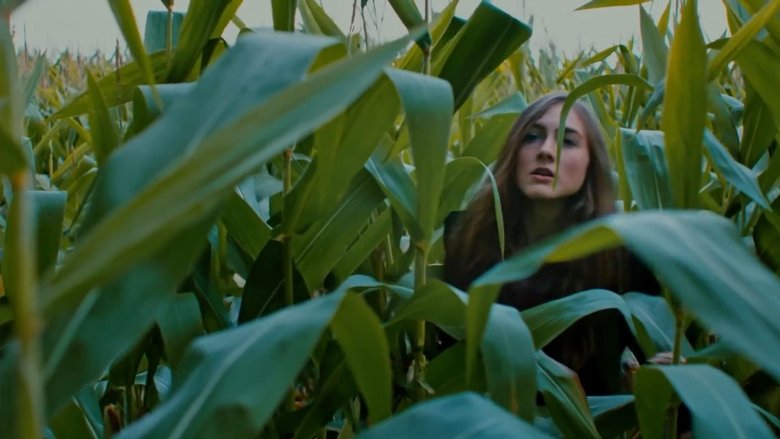 Falsely Accused - Vj Junior