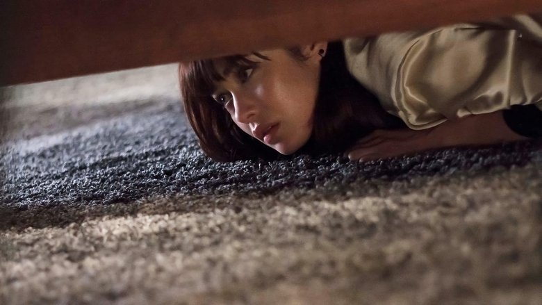 Momentum - Vj Junior