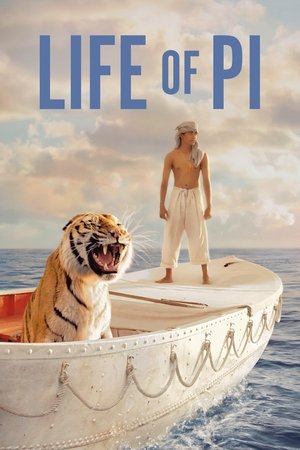 Life of Pi - Vj Emmy