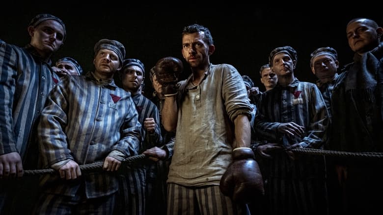 The Champion - Vj Kriss S