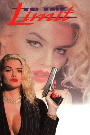 To the Limit - Vj Emmy