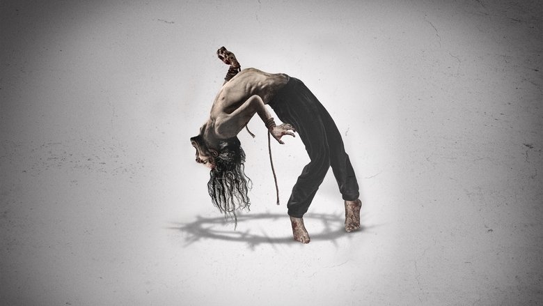 Shadow of God - Vj Ham