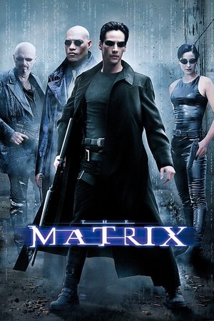 The Matrix 1 - VJ Junior
