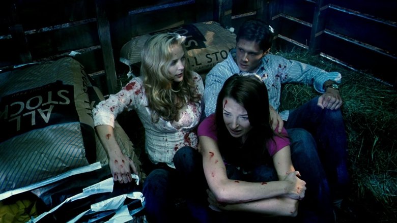 Grizzly Park - VJ Emmy