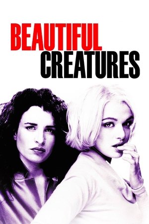 Beautiful Creatures - Vj Junior