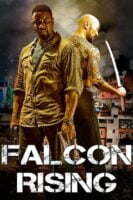 Falcon Rising By VJ Junior