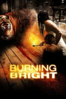 Burning Bright By VJ Mox